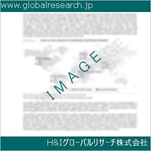 グローバルリサーチ調査資料のイメージ